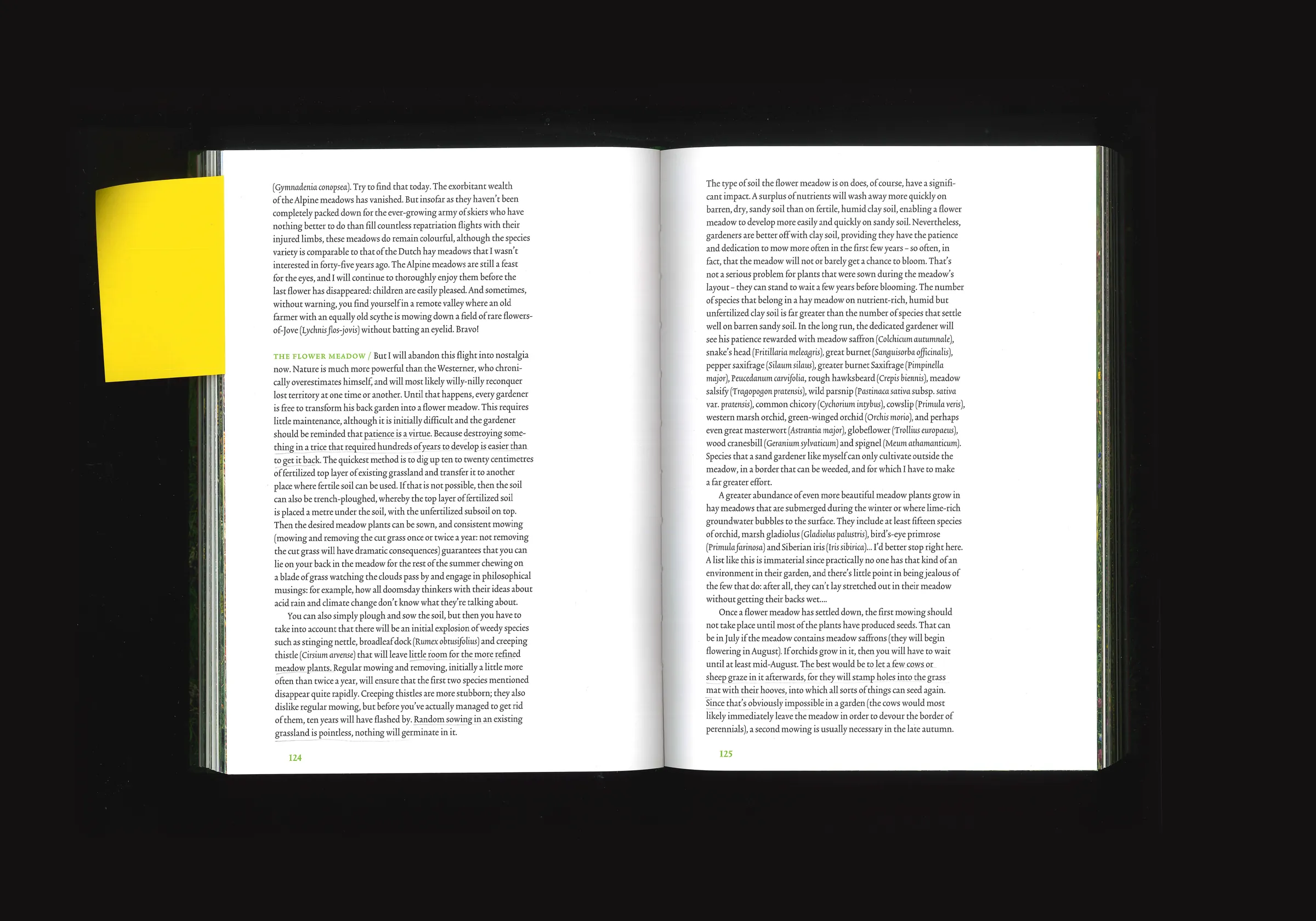 Essay on Gardening, image 3